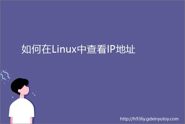 如何在Linux中查看IP地址