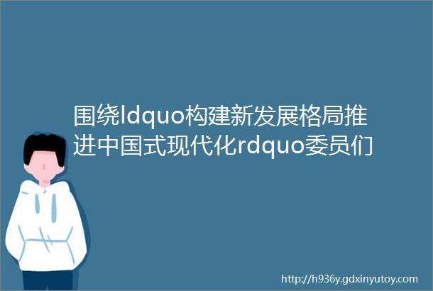 围绕ldquo构建新发展格局推进中国式现代化rdquo委员们这样说