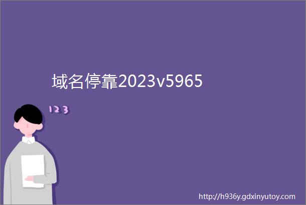 域名停靠2023v5965